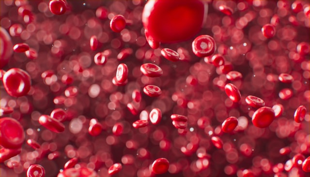 What Is The Importance Of Blood Bank Temperature Monitoring?